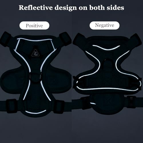 cat Chest Harness and Leash (Emerald / S:3.3-6.6lb)