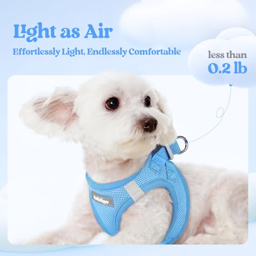 Dog Harness Medium Sized and Leash Set (Blue / Xl (chest: 20 - 21.8"))