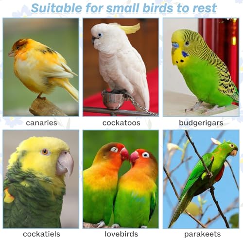 PIVBY Bird Perches for Cage Colorful Parrot Stand Toy Platform Paw Grinding Stick for Small Medium