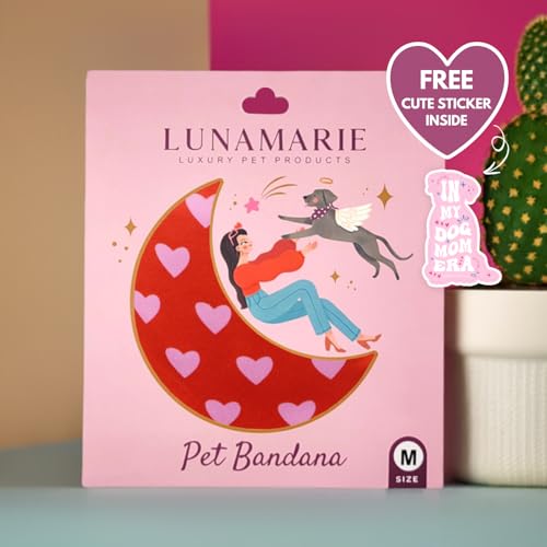 Luxury Pet Birthday Bandanas (Evie Hearts / Medium)