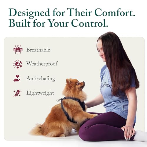 No Pull Dog Harness (X-Small / Black)