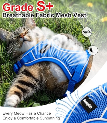 Cat Harness and Leash for Walking Escape Proof Soft Adjustable Cat Leash (Blue / M (13-18lb))