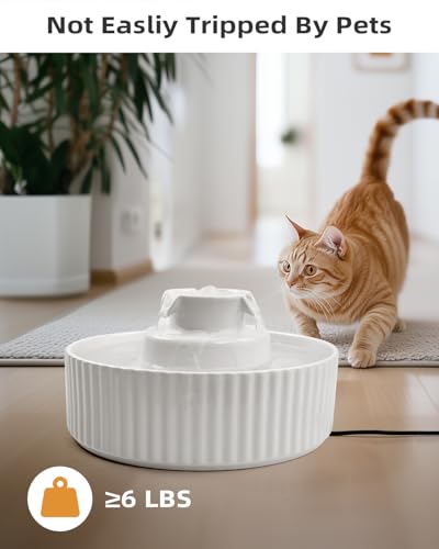 Ceramic Cat Water Fountain