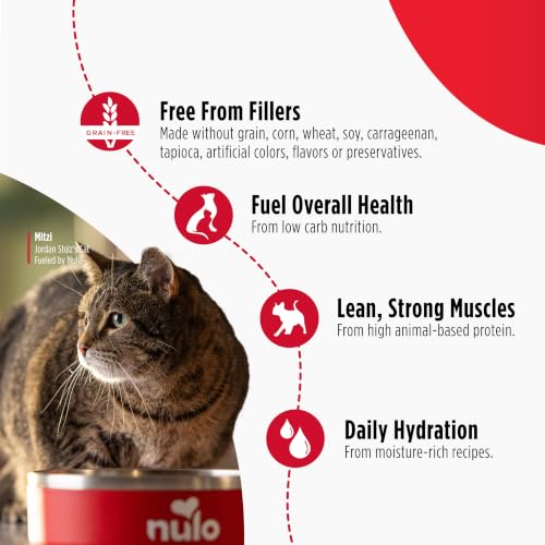 Canned Wet Cat Food (2.8 Ounce (Pack of 12))