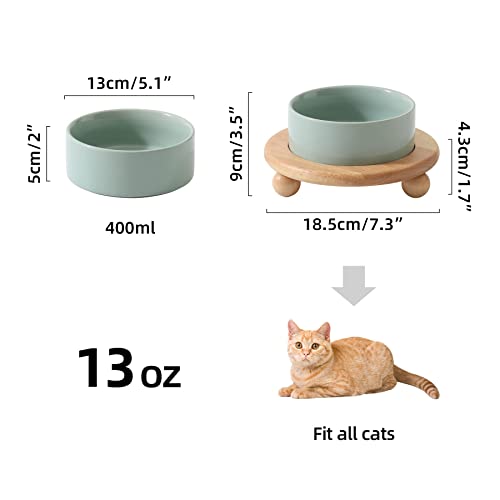 Raised Cat Bowl 5.1” Elevated Ceramic Cat Food and Water Bowl (Light Green)