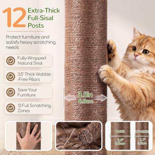 Cat Tree Tower with 12 Extra (Beige / XL)