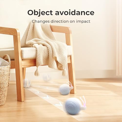 Interactive Cat Toy for Indoor Cats (Blue)