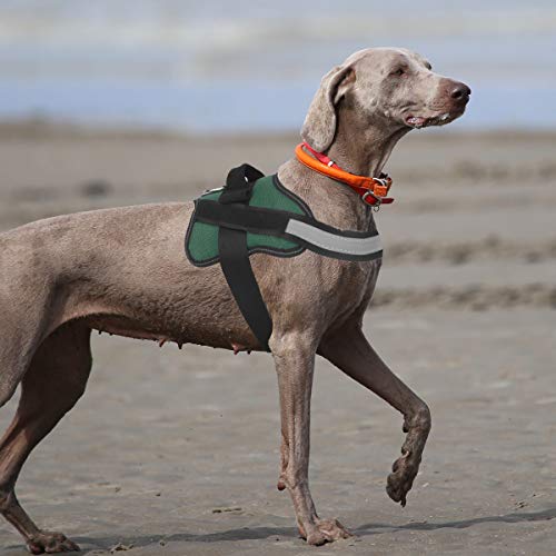 Dog Harness No (Large (Pack of 1) / Dark green)