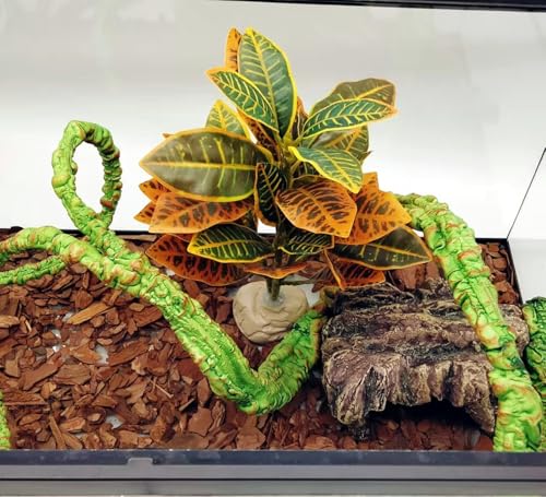 Reptile Plants Terrarium Decor (Gradient)