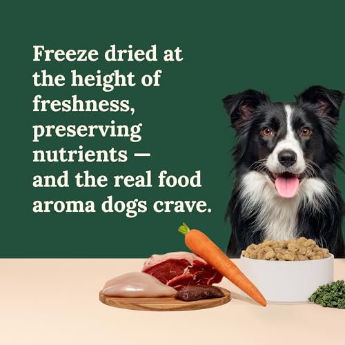 Freeze Dried Raw Dog Food (1 Pound (Pack of 4))