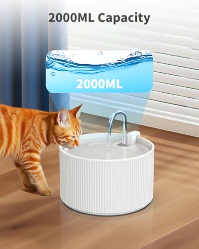 Ceramic Cat Water Fountain