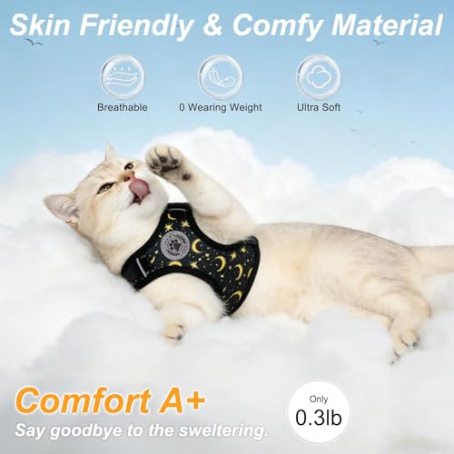 Cat Harness and Leash Set (Black / S (Chest: 11 - 16"))