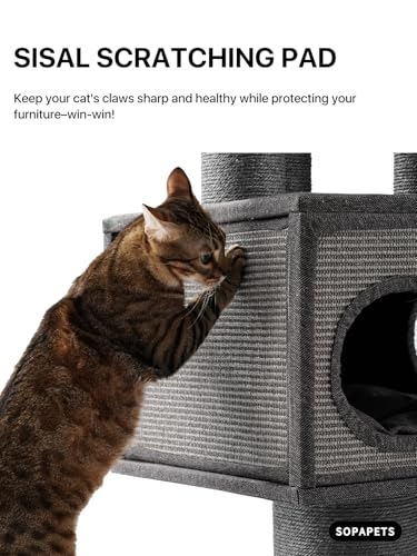 Maine Coon Cat Tree for Indoor Cats Large Adult (Black)
