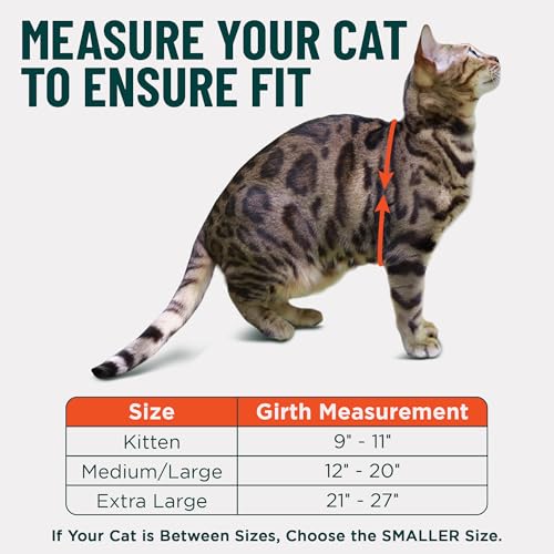 Houdini™ Escape Proof Cat Harness and Leash (Turquoise / M/L)