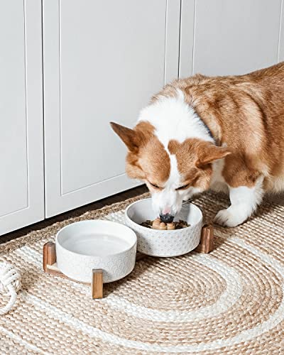 Dog Bowls Ceramic for Small Medium Dogs (Fireworks+Clover / M-4 Cup)