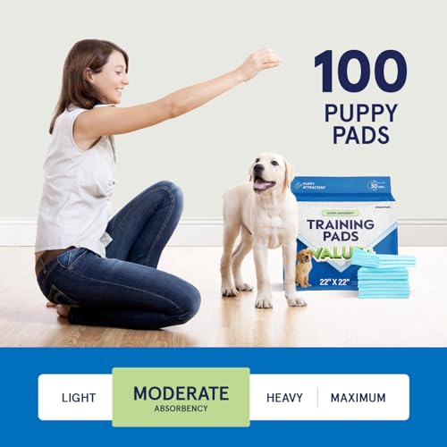 Puppy Pads Pet Pee Pads for Dogs & Puppy Training [100 (22” X 22”)