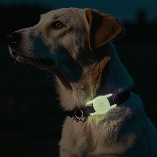 IP68 Waterproof AirTag Holder for Dog Collar (Luminous)