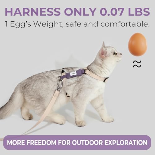 Cat Harness and Leash Set (Ivory White)