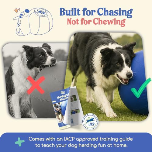 22" Original Herding Ball for Dogs (Ocean - M 22" Herding Ball Set / M 22")