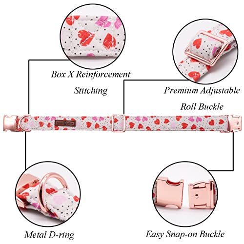 Valentines Day Dog Collar with Bowtie (Hearts / Small (Pack of 1))