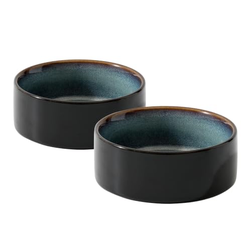 Cat Bowls Set of Two (Starry Sky)