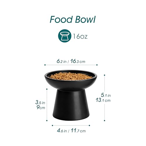 2 Pack Elevated Cat Food Bowls (Black)