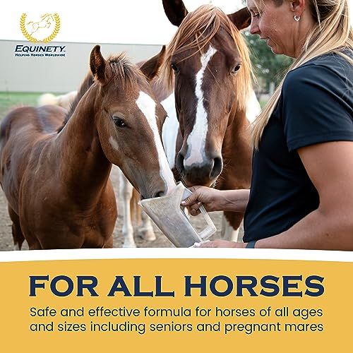 100 Day Supply Equinety Horse XL Powder Horse Supplement with Amino Acids (Horse XL)