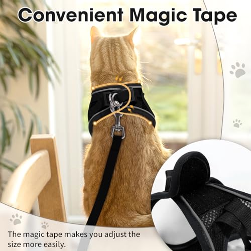 Cat Vest Harness and Leash Set (Black / XS)