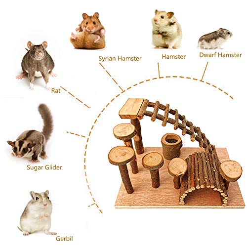 Wooden Hamster Bridge (Platform of climbing ladder and bridge)