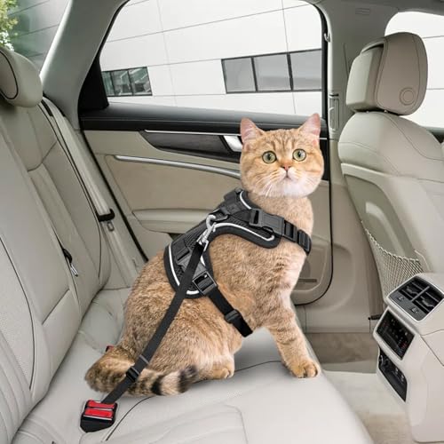 Cat Harness and Leash Set (Black / Medium)