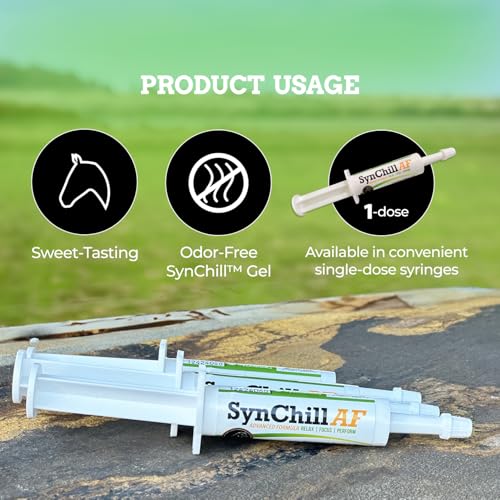 SynChill AF Horse Calming Supplement Gel (1-Pack)