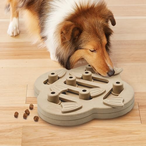 by Nina Ottosson Dog Hide N' Slide Treat Puzzle Enrichment Toy