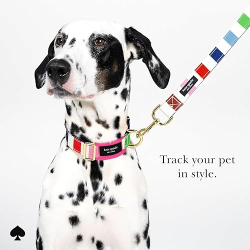 Airtag Dog Collar Holder