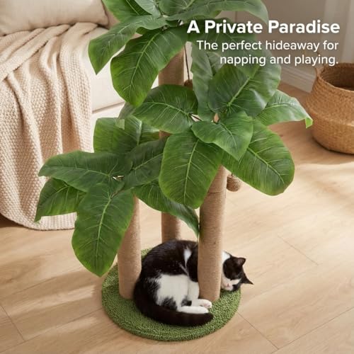 31.5Inch Cat Scratching Post