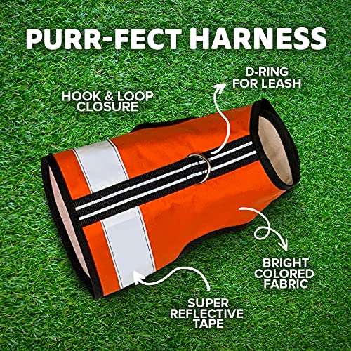 Reflective Cat Harness (Small/Medium / Outrageous Orange)