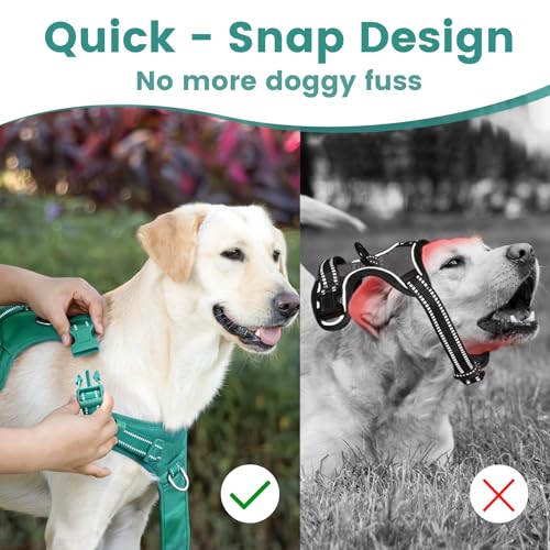 No Pull Dog Harness Front Clip Handle (Marrs Green / M(Neck:18.5-25.6",Chest:20.9-30.7"))