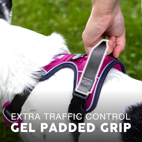 Embark No Pull Dog Harness (S / Pink)