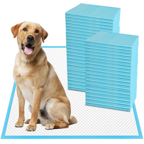 XXL Thicken 6 Layers Heavy Absorbent 30"x36" Pet Training Dog Pee Pads (Regular - 30"x36")