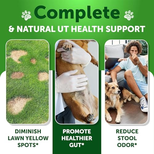Green Lawn Chews for Dogs (120 Chews)