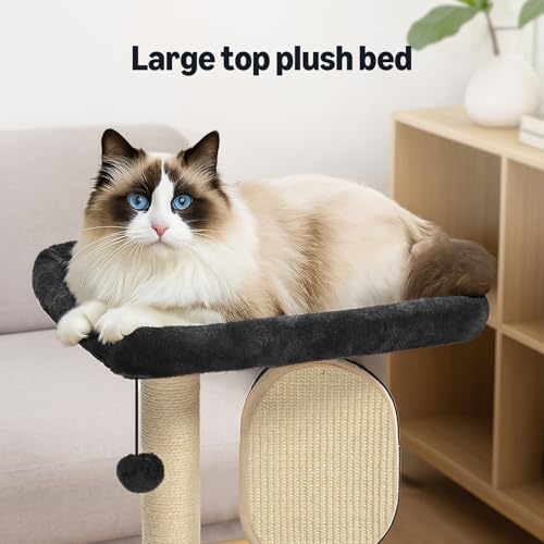 Single Platform Cat Tree with Scratching Post and Pad for Indoor Cats (Platform / Gray)