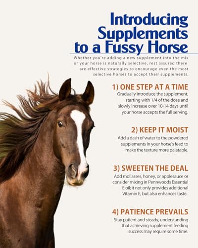 Horse Weight Gain Supplement Pro Whey Protein 49% Fat Powder 4 lb (4lb)