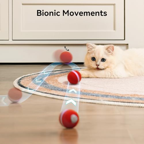 Interactive Cat Ball Toy (Red)