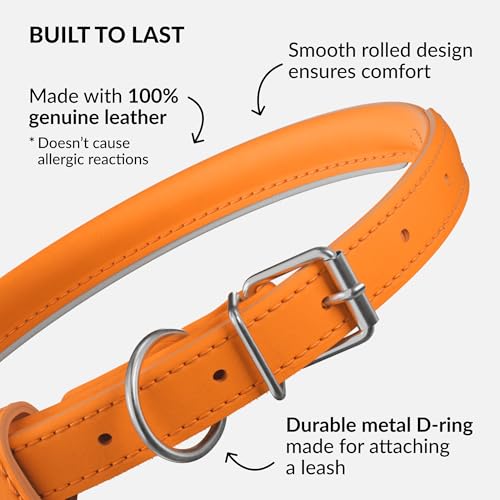 Tangle Free Reflective Leather Dog Collar (Orange / L)