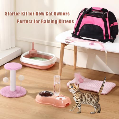 10 Pcs Kitten Starter Kit for Indoor (Classic / Medium / Pink)