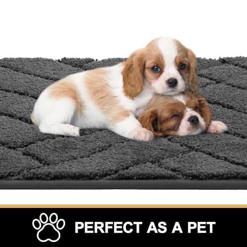 Dog Door Mat for Mud Paws (20" x 48" / Charcoal)
