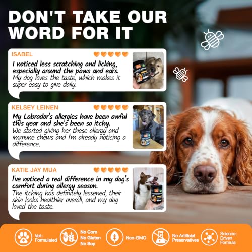 Dog Allergy Relief Chews for Itchy Skin (180 count / Allergy Support Chews)