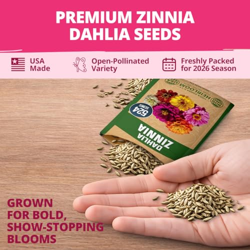 Zinnia Dahlia Seeds