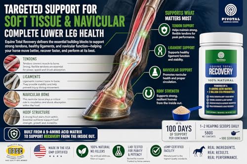 Feeds Equine Total Recovery Supplement (580 Grams)