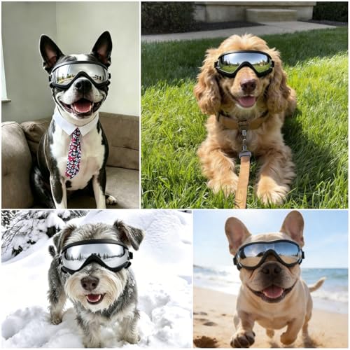 Dog Goggles Medium Breed with UV Protection Windproof Anti (Medium / Black)