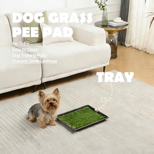 Dog Grass Pee Pads for Dogs with Tray (Small - 18 x 14 inch)